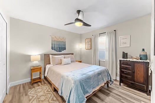 Furnished Finder property 316127_1 photo 17