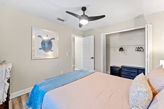 Furnished Finder property 316127_1 photo 18