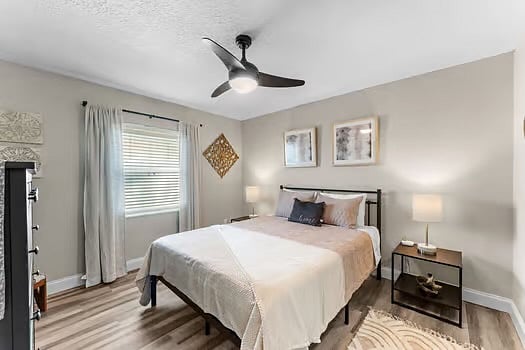 Furnished Finder property 316127_1 photo 13