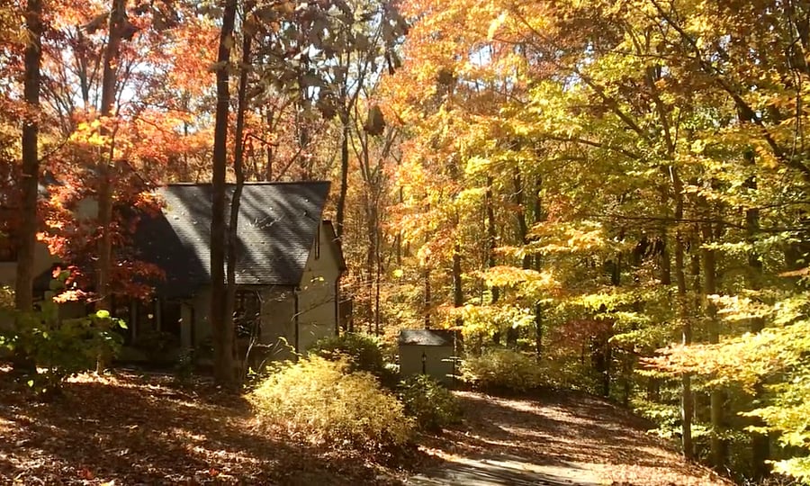During the fall