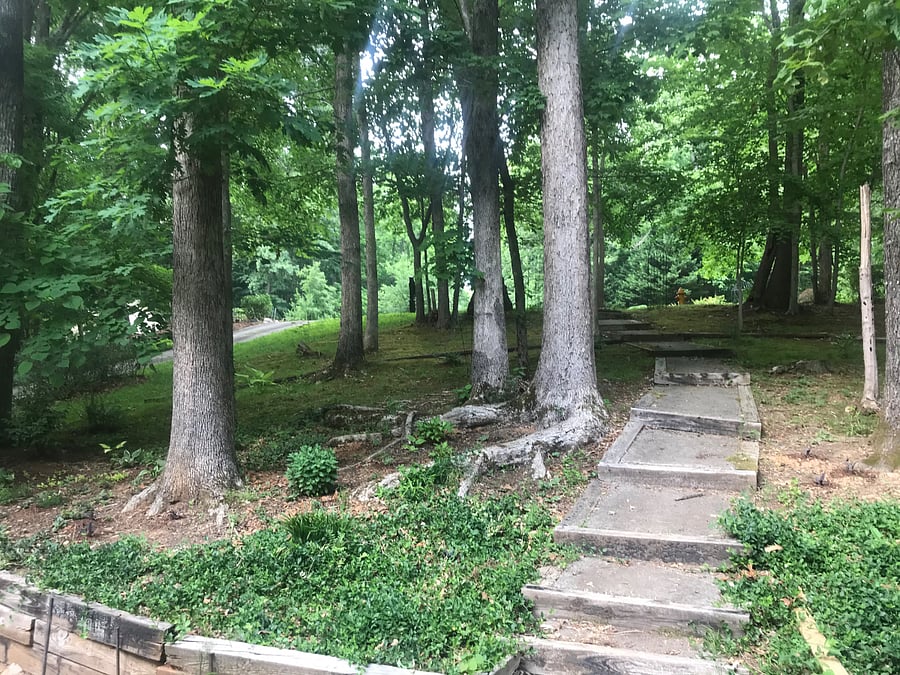 Front yard