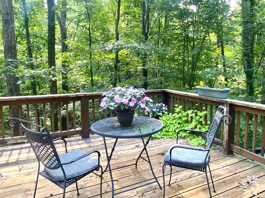 Shared back deck