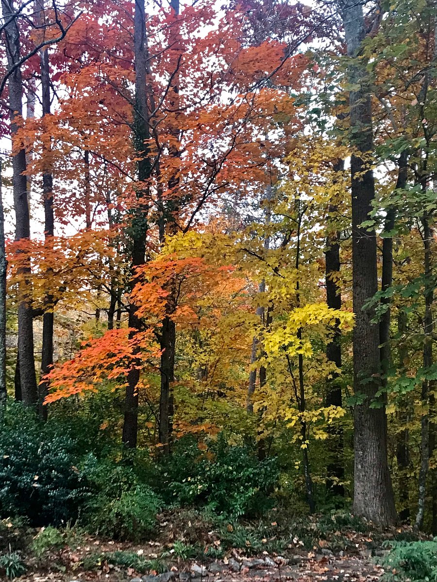 During the fall