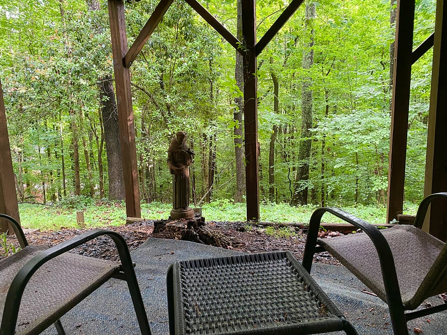Studio apt. patio surrounded by forest and completely private.