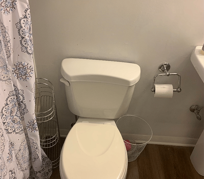 Furnished Finder property 316241_1 photo 14