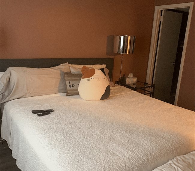 Furnished Finder property 316241_1 photo 18