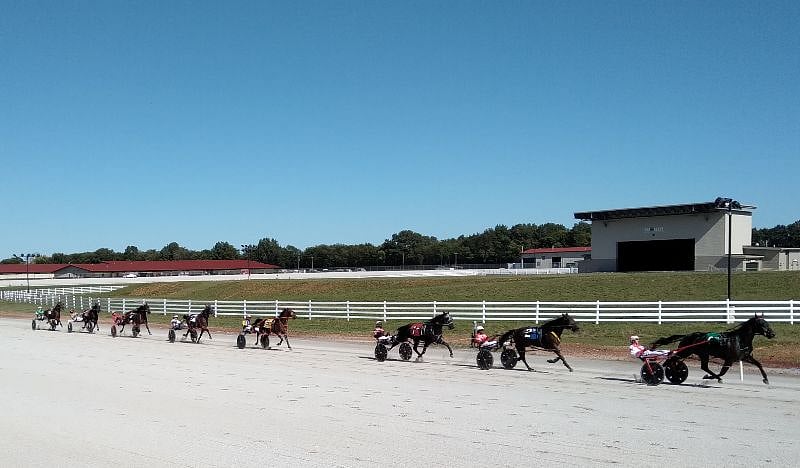 catch a horse race!