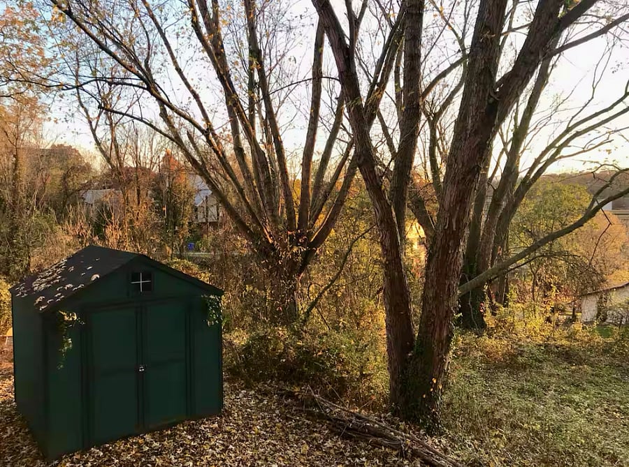 Dreamy fall views from the house