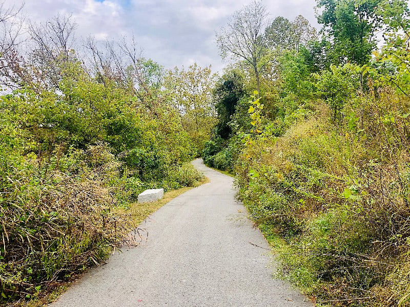 French Broad River Greenway tracks the river and goes right past New Belgium's brewery and tasting room. Great place for walking, running, bird-watching, and cycling.