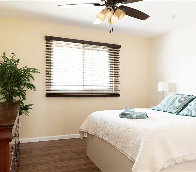 Furnished Finder property 316356_1 photo 10