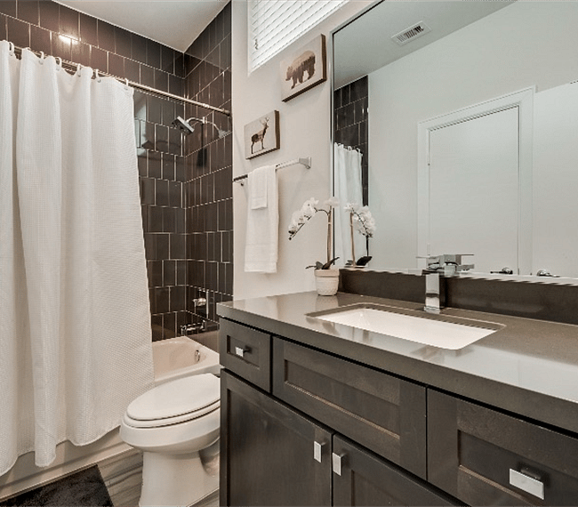 Furnished Finder property 316462_1 photo 11