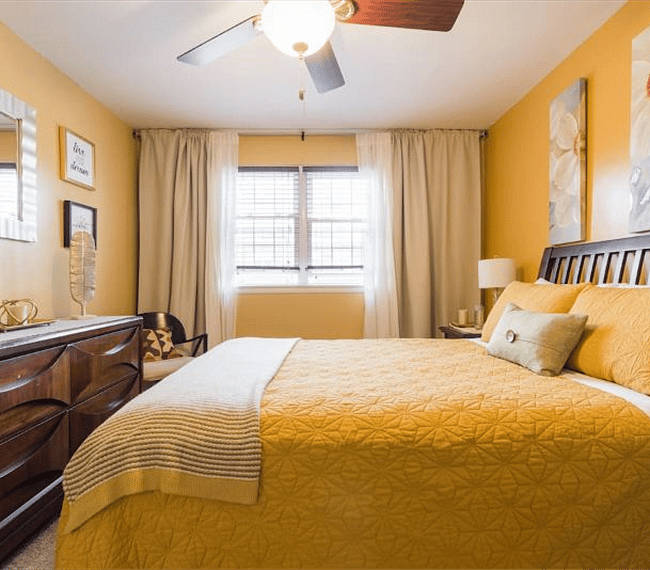 Furnished Finder property 316491_1 photo 12