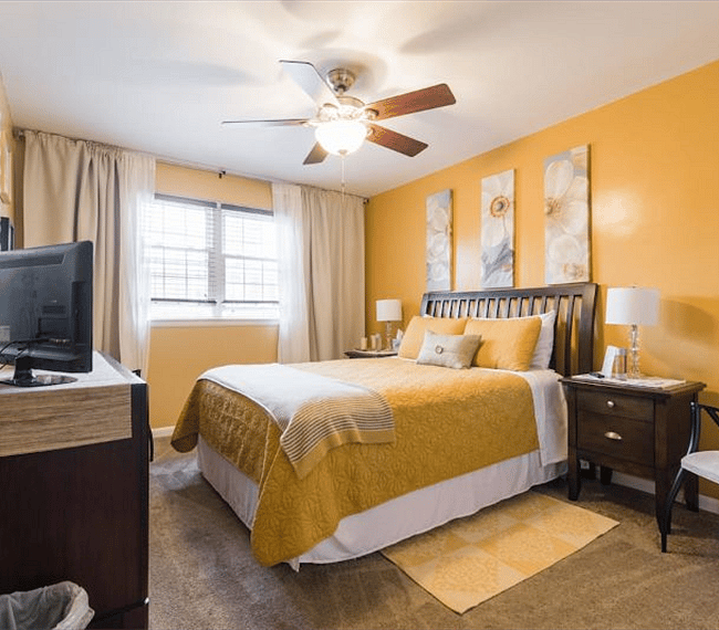 Furnished Finder property 316491_1 photo 18