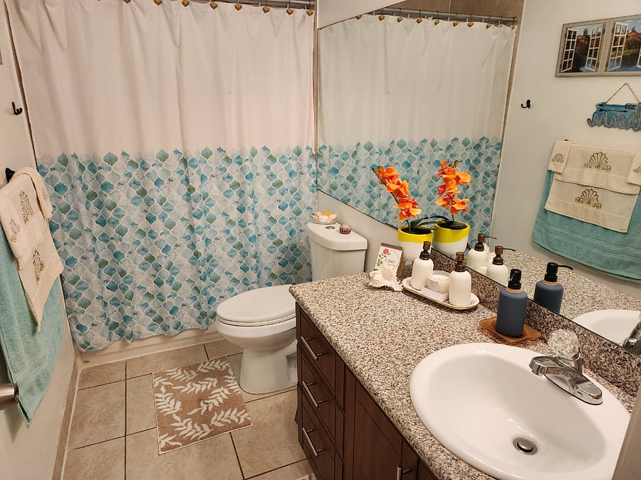 Furnished Finder property 316906_1 photo 8