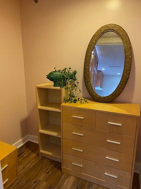 The walk in closet includes clothes rod, dresser, and shelving.