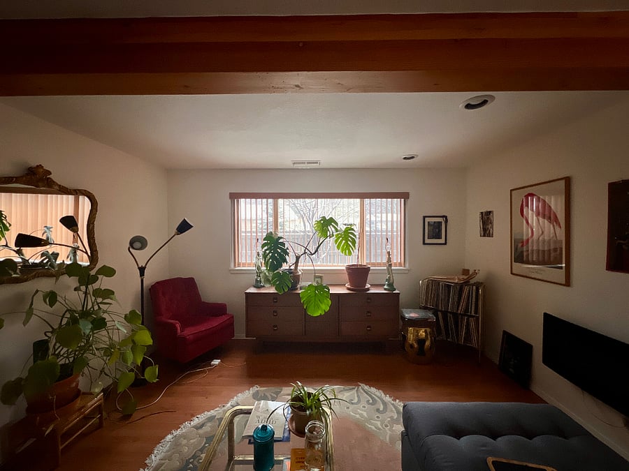Shared living space.