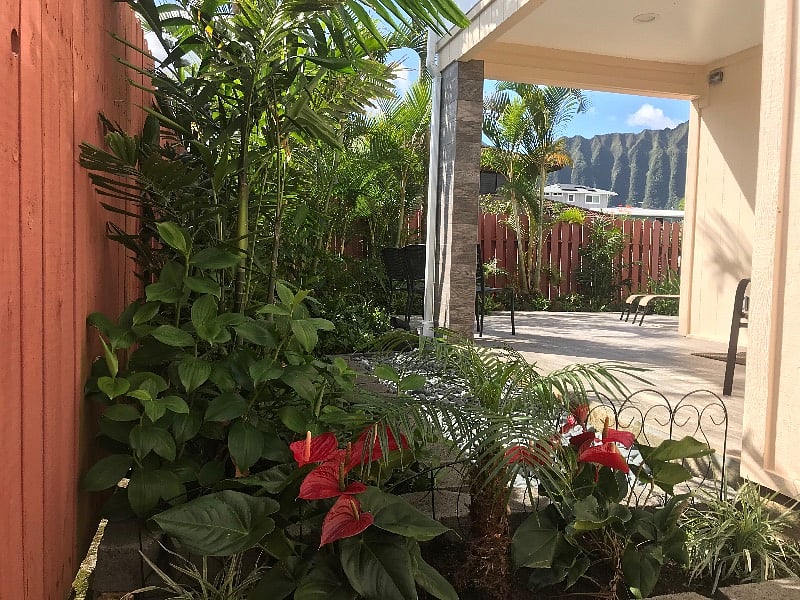Tropical landscaping