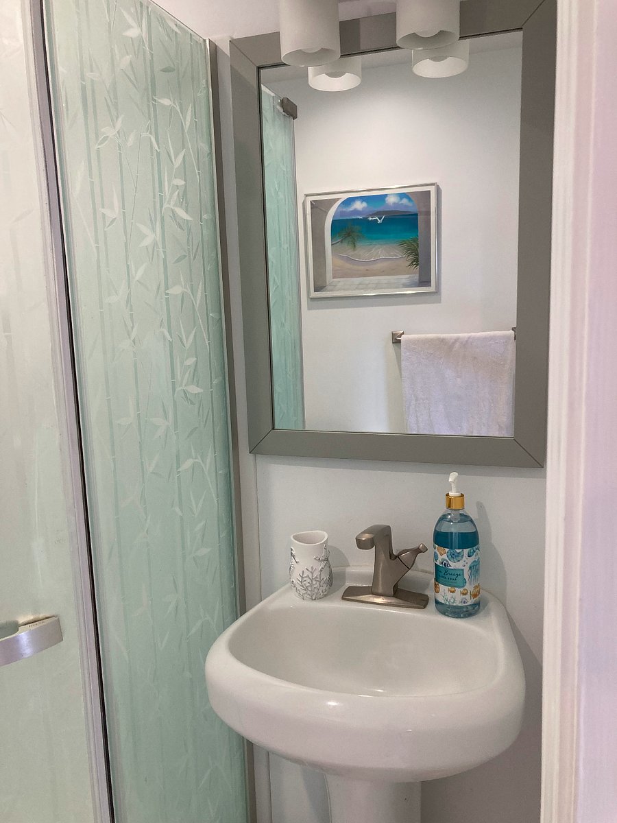 Bathroom with large mirror storage 