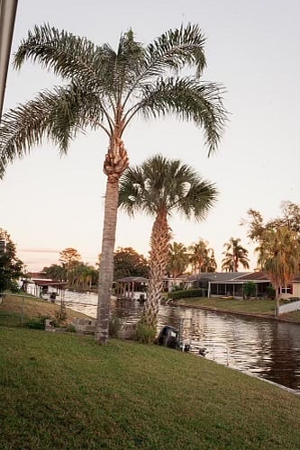 Furnished Finder property 317184_1 photo 38