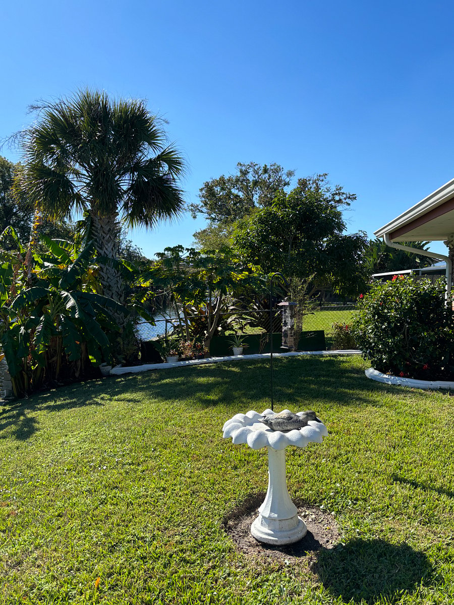 Furnished Finder property 317184_1 photo 34