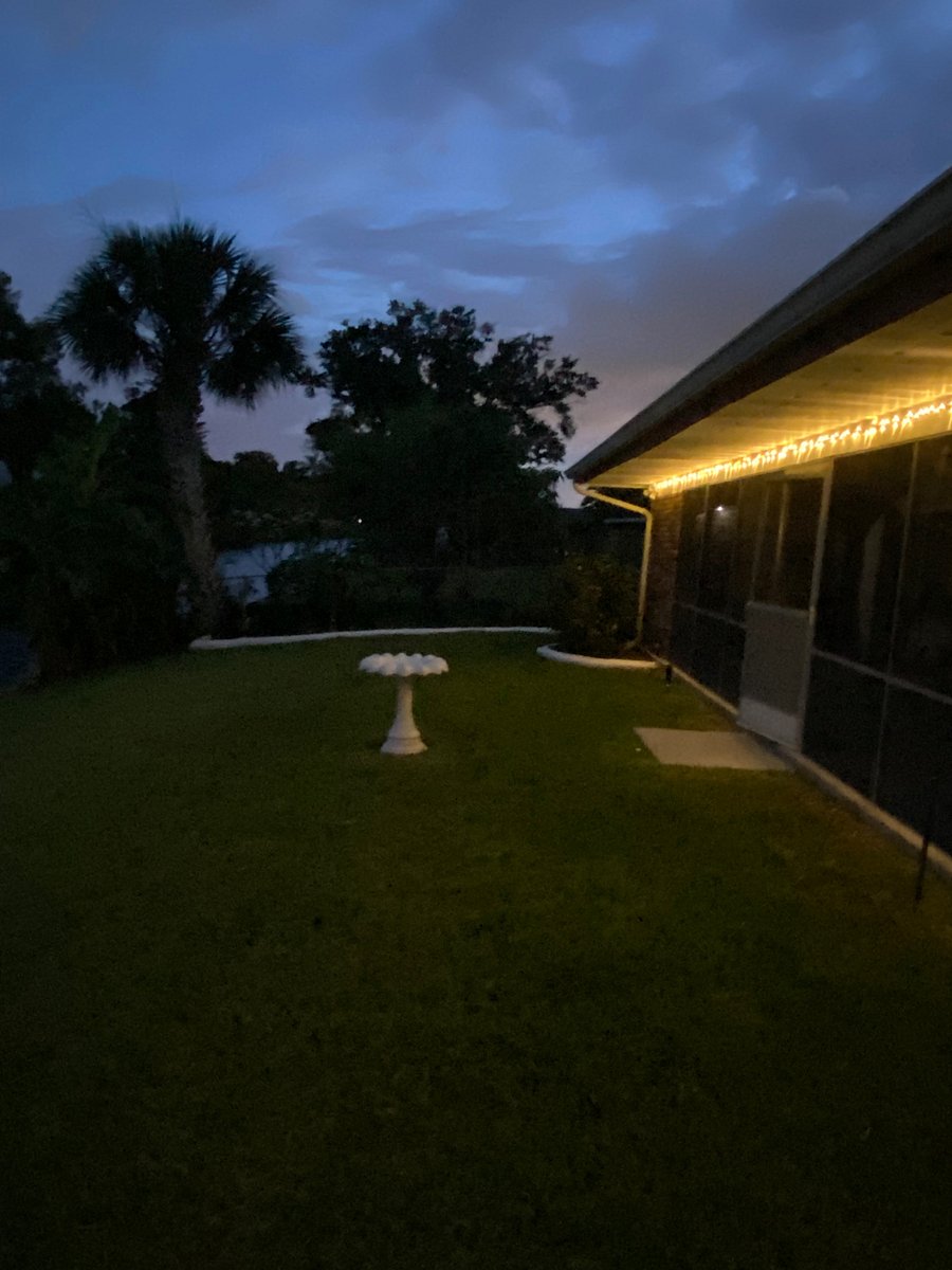 Furnished Finder property 317184_1 photo 41