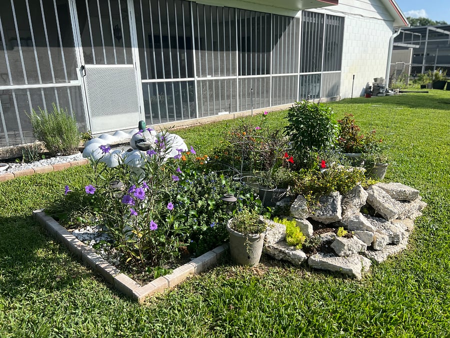 Outdoor backyard and garden areas 