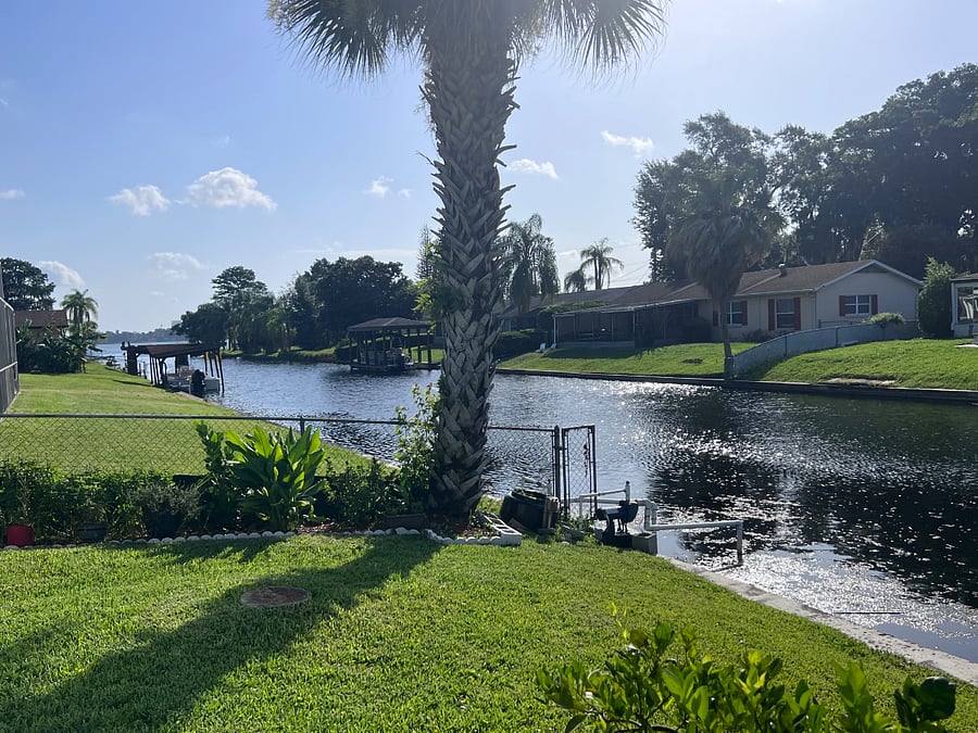 Furnished Finder property 317184_1 photo 33