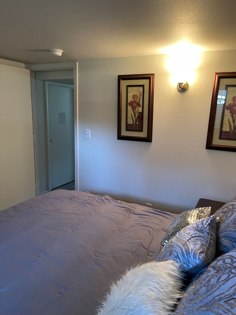 Furnished Finder property 317247_1 photo 5