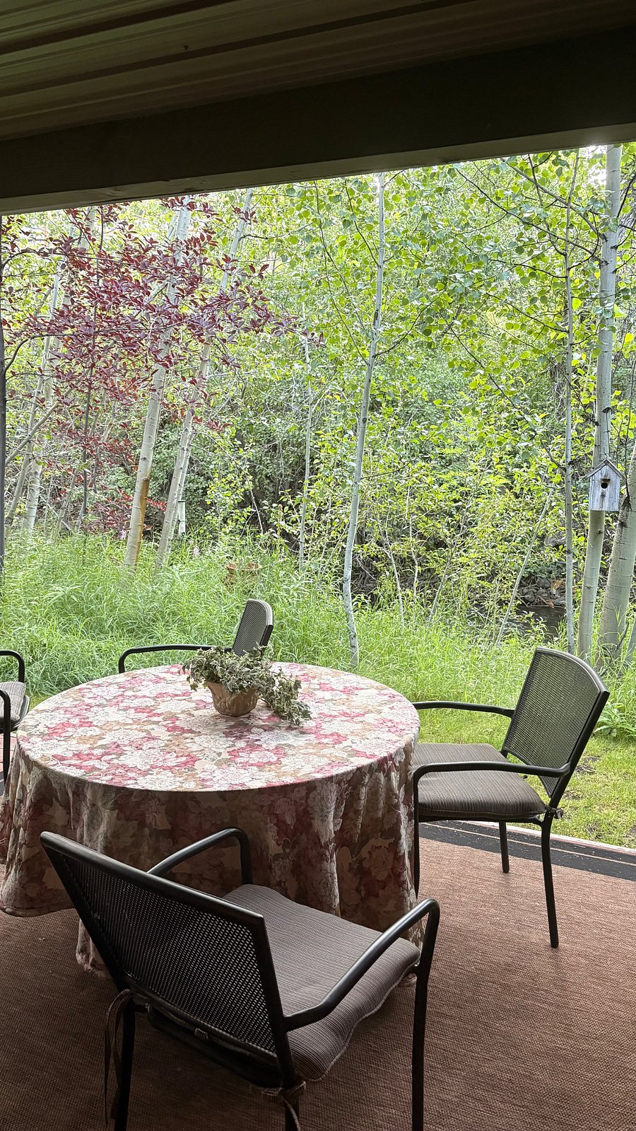 Furnished Finder property 317294_1 photo 3