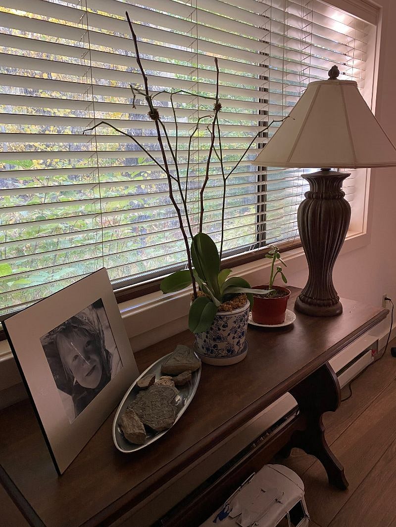 Furnished Finder property 317294_1 photo 6