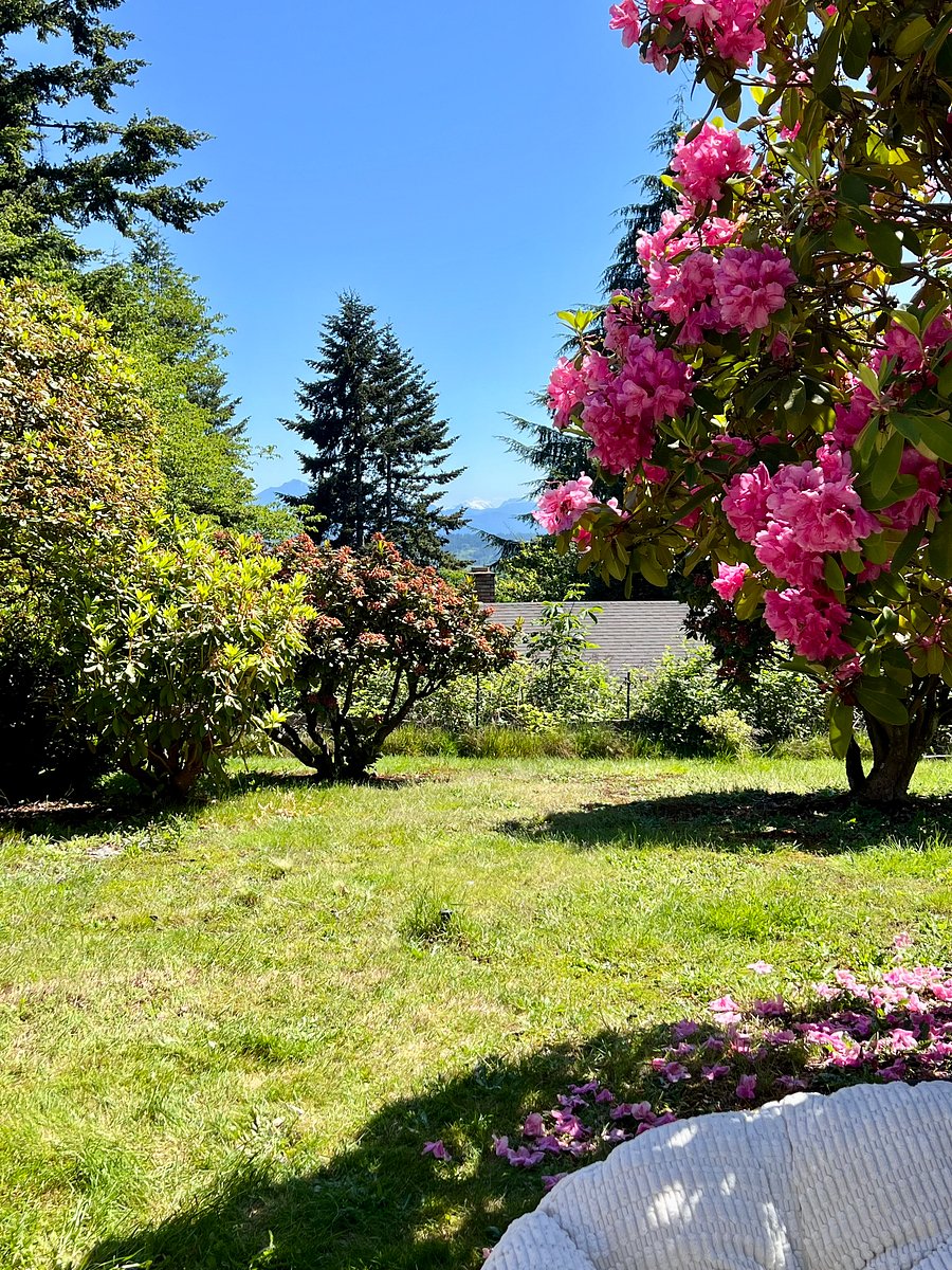 Furnished Finder property 317389_1 photo 45