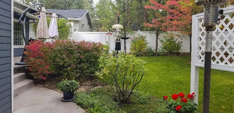 Back yard view #2