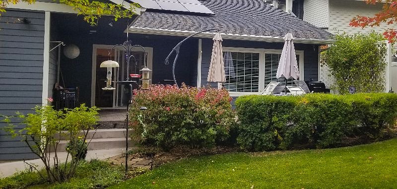 Back yard view