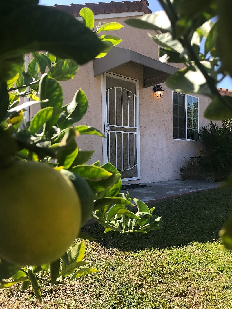 Furnished Finder property 317830_1 photo 22