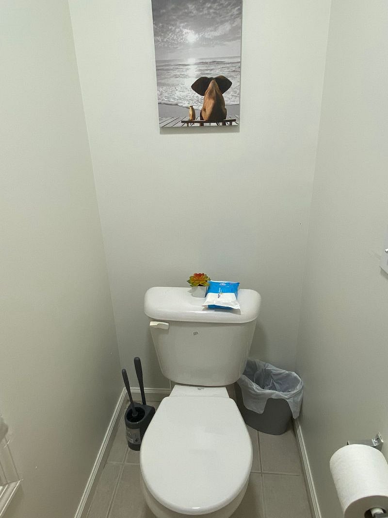 Furnished Finder property 317866_1 photo 28