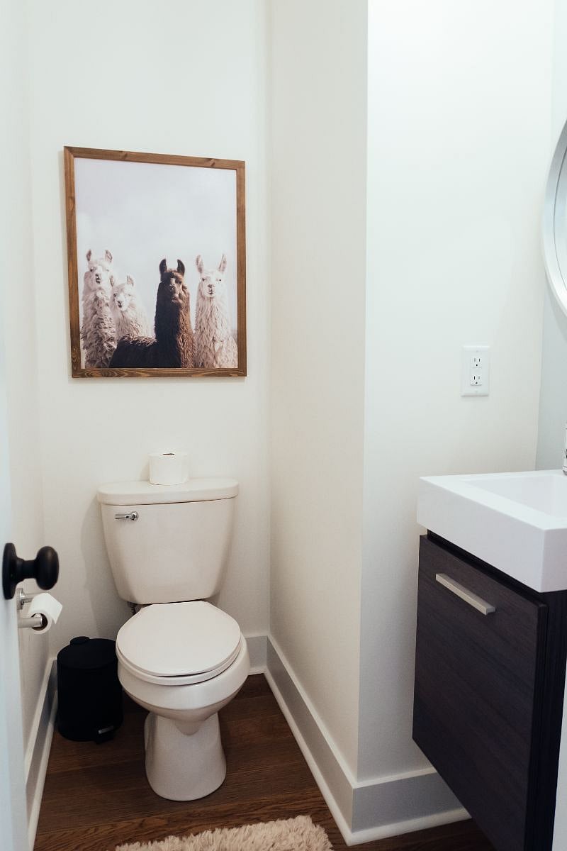 Furnished Finder property 318013_1 photo 12