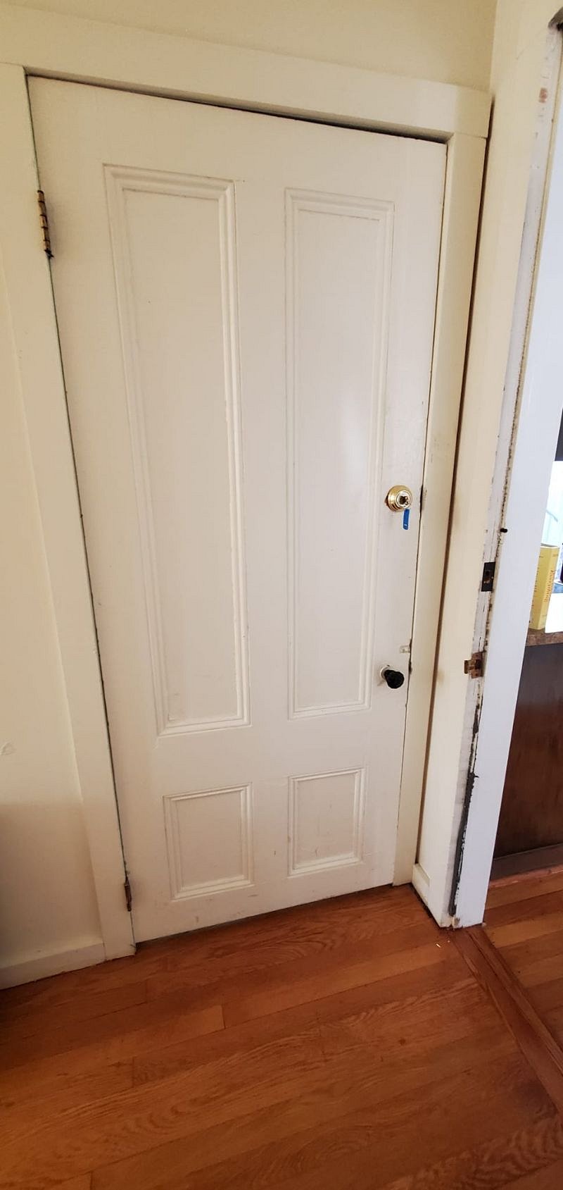 Furnished Finder property 318064_1 photo 43