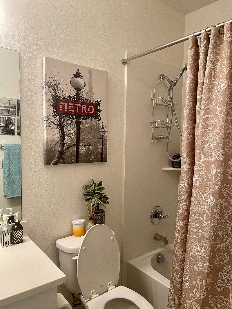 Furnished Finder property 318083_1 photo 14