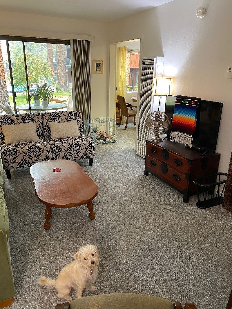 Furnished Finder property 318084_1 photo 8