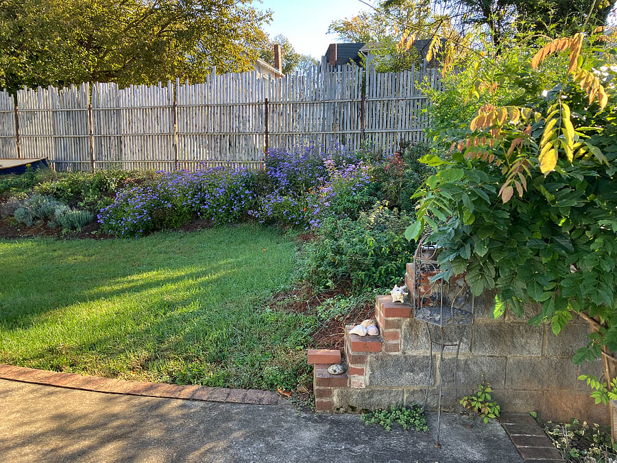 Patio view