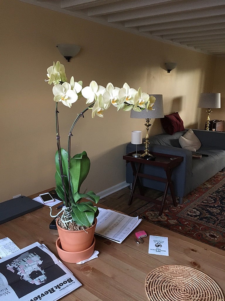Furnished Finder property 318449_1 photo 17