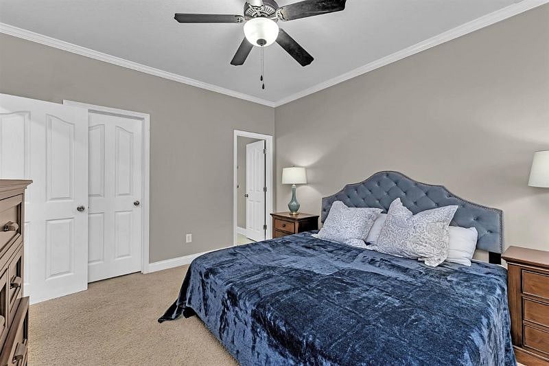 Furnished Finder property 318574_1 photo 19