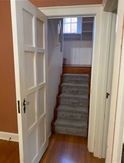 Furnished Finder property 318619_1 photo 12
