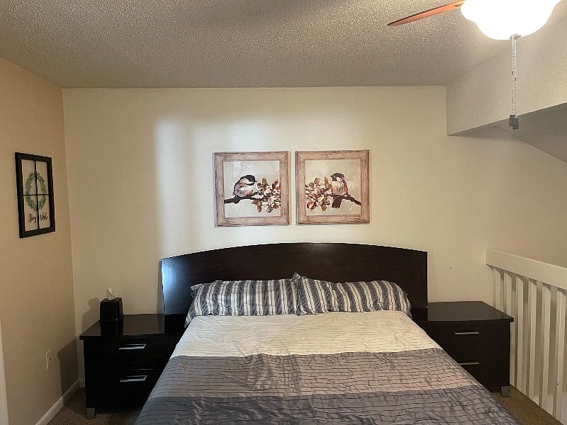 Furnished Finder property 318640_1 photo 12
