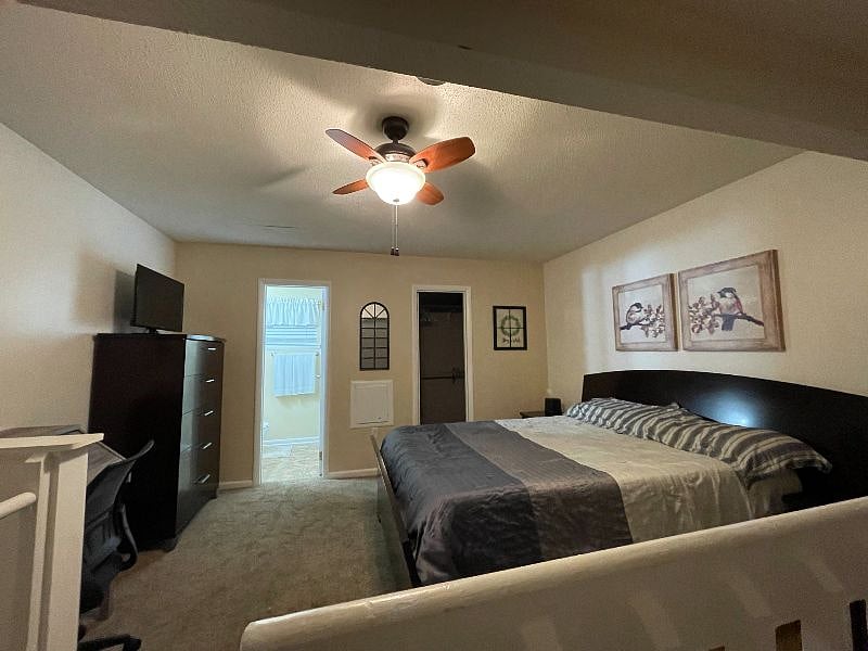 Furnished Finder property 318640_1 photo 13