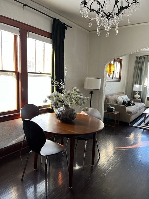 Furnished Finder property 318748_2 photo 8