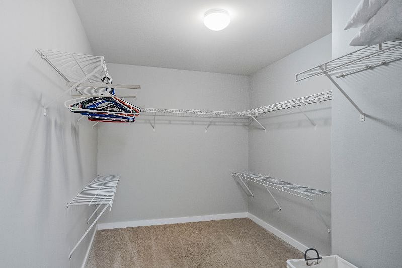 Furnished Finder property 318787_1 photo 26