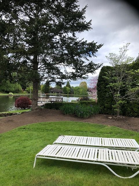 back yard