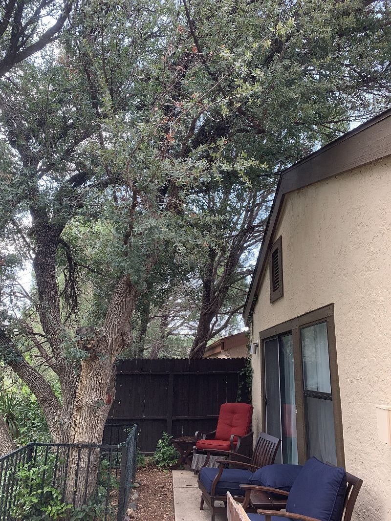 Furnished Finder property 319077_1 photo 13