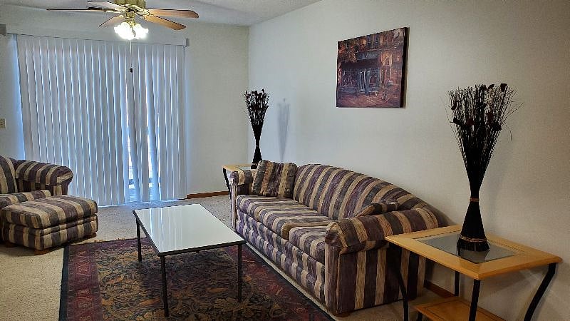 Furnished Finder property 319086_1 photo 14